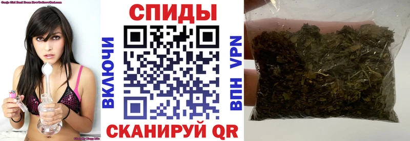 БУТИРАТ буратино Пионерский