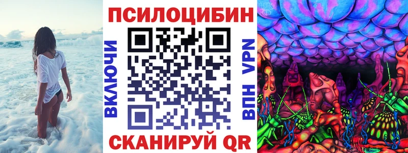 площадка формула  Пионерский  Галлюциногенные грибы MAGIC MUSHROOMS 